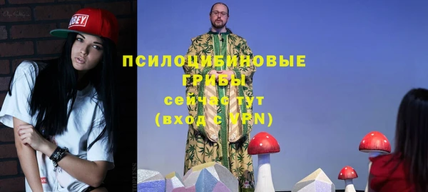 mdma Горнозаводск