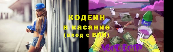 тгк Володарск