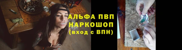 тгк Володарск