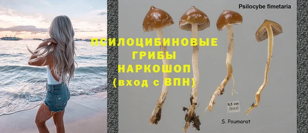тгк Протвино