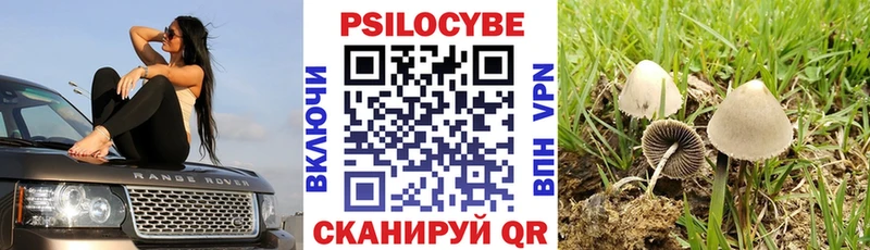 Галлюциногенные грибы Magic Shrooms  Духовщина 